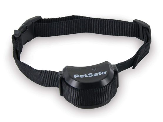 petsafe stay and receiver collar